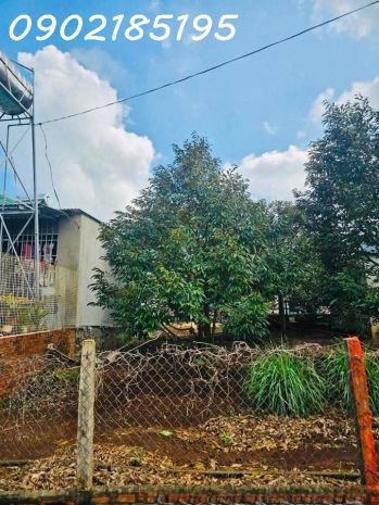 Lô đất sổ đỏ thổ cư  phường tân lợi  buôn ma thuột, cách 7328033