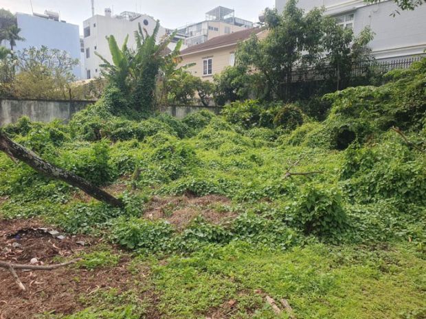 Cần bán gấp 2.496m2 đất hxt nguyễn thị sáu thới tam thôn 7328936