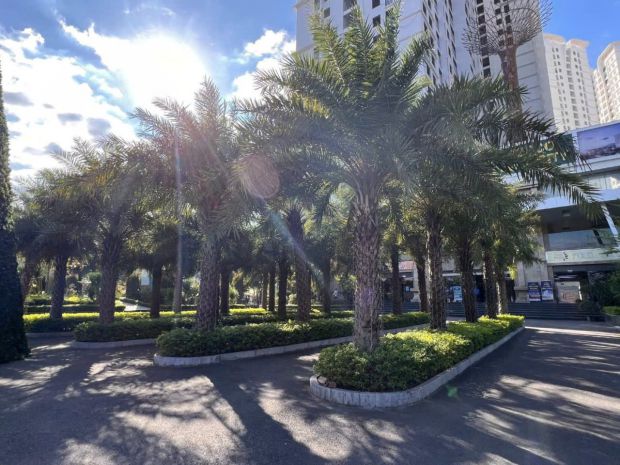 Tecco elite city- căn hộ vừa túi tiền, an cư dễ dàng giữa 7329761