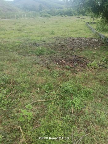 Đất đẹp giá tốt   chính chủ cần bán nhanh đất tại xã 7329860