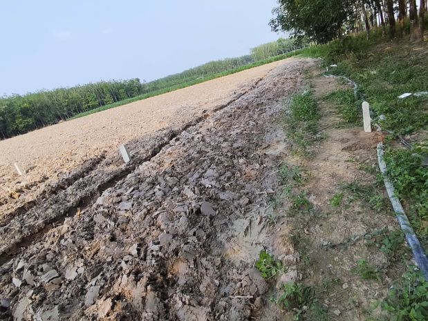 Đất nền chợ an cơ 310 triệu 200m2 full thổ cư 7330016