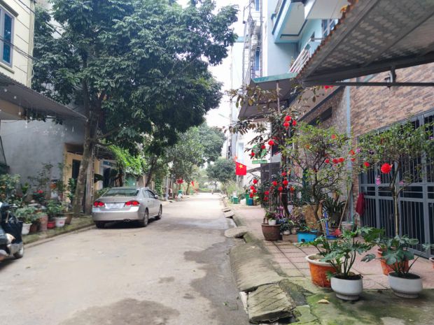 Bán đất phú cát, quốc oai 100 m2 full thổ cư, đừng ô tô tải 7330523