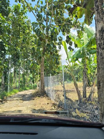 Chính chủ bán 2 lô đất gần nhau xã ngọc định - định quán 7330647