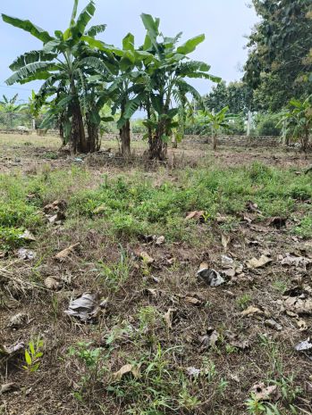 Chính chủ bán 2 lô đất gần nhau xã ngọc định - định quán 7330649