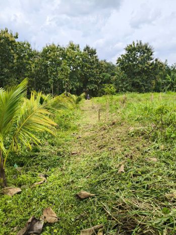 Chính chủ bán 2 lô đất gần nhau xã ngọc định - định quán 7330650