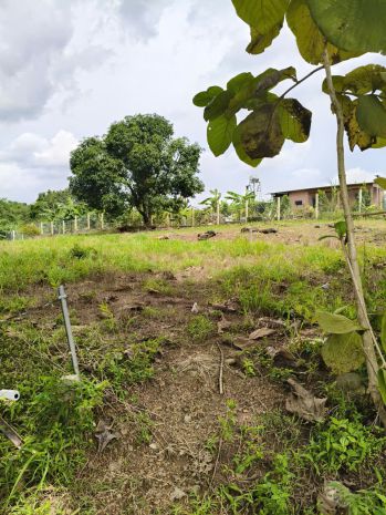 Chính chủ bán 2 lô đất gần nhau xã ngọc định - định quán 7330652