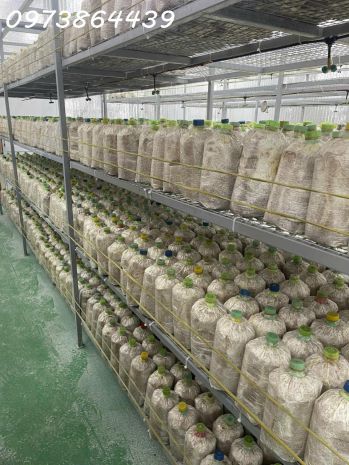 Bán đấ-  tặng xưởng nấm - pin năng lượng mặt trời mặt tiền 7331925