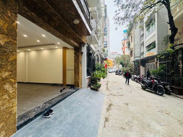 Đặc biệt hiếm khu huỳnh thúc kháng nguyên hồng 7t thang 7332188