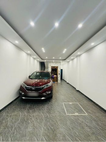 Đặc biệt hiếm khu huỳnh thúc kháng nguyên hồng 7t thang 7332189