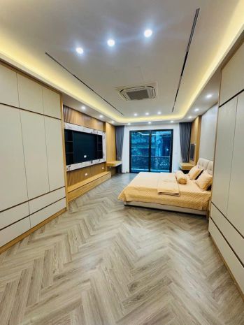 Đặc biệt hiếm khu huỳnh thúc kháng nguyên hồng 7t thang 7332192