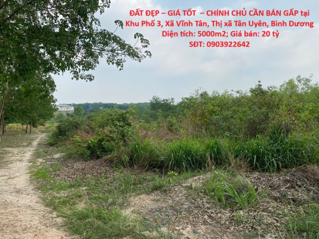 Đất đẹp  giá tốt   chính chủ cần bán gấp tại xã vĩnh tân, 7332513