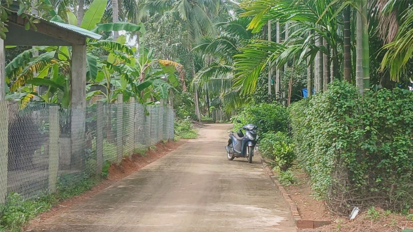 Đất đẹp  giá tốt chính chủ cần bán đất đường trần tôn 7334078