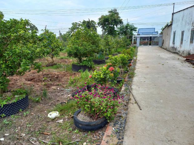 Chính chủ bán đất thổ cư xã phước hậu, huyện long hồ, tỉnh v 7334723