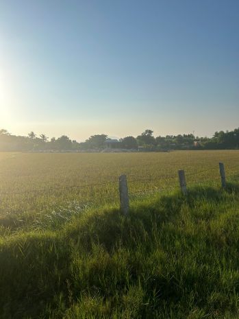 Bán 2.7 sào đất qh odt hẻm tôn đức thắng, tân thiện, lagi 7334818