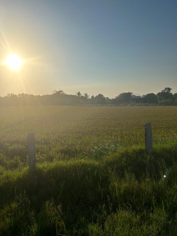 Bán 2.7 sào đất qh odt hẻm tôn đức thắng, tân thiện, lagi 7334820