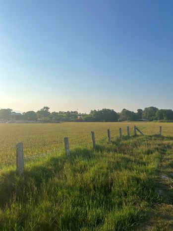 Bán 2.7 sào đất qh odt hẻm tôn đức thắng, tân thiện, lagi 7334821