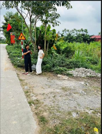 Bán đất nền nguyên lý  lý nhân  hà nam 7335366