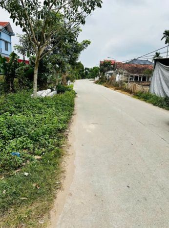 Bán đất nền nguyên lý  lý nhân  hà nam 7335367