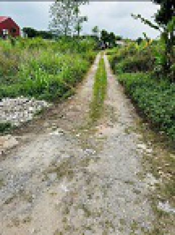 Bán đất nền nguyên lý  lý nhân  hà nam 7335369