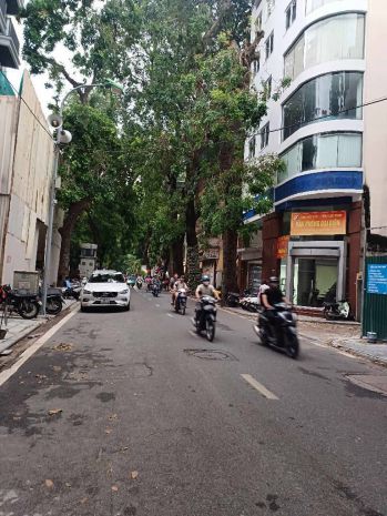 Nhà 31m lý nam đế 5 tầng 1 tum 17.2 tỷ 7335421