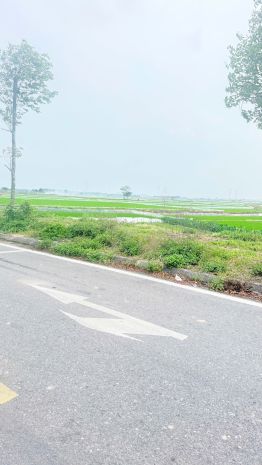 Bán đất khu đô thị đức giang, yên dũng, bắc giang. cửa ngõ 7337658