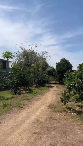 Bán gấp đất vườn view sông đồng nai  diện tích lớn, giá 7337669