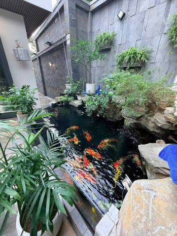 Cho thuê biệt thự cao cấp  bể bơi trong nhà  thang máy  f 7339031