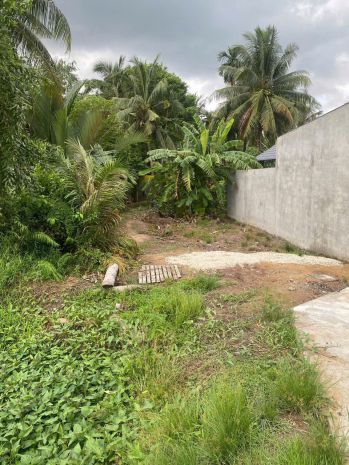 Chính chủ cần bán lô đất có vị trí đẹp mặt tiền đường 7339154