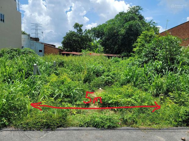 Đất đẹp  giá tốt  chính chủ cần bán đất đường ấp cây trắc 7340133