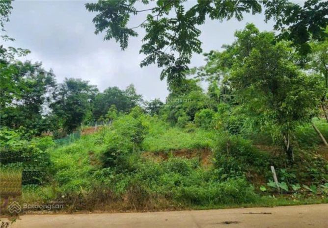 Đất bán tại đt 433, 1,1 tỷ, 1031 m2, huyện đà bắc, hòa bình 7342154