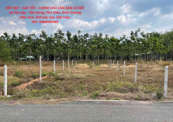 Đất đẹp  giá tốt  chính chủ cần bán lô đất tại tân lập 7342560