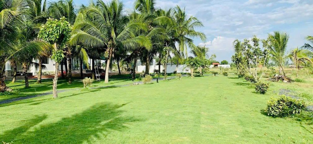 Nhà vườn 6.000m²  thiên đường xanh giữa lòng củ chi - 7343592