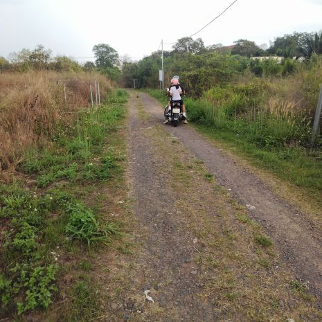 Cho thuê đât nên dai han 450m² tai tp long khanh, 7346198