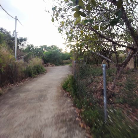 Cho thuê đât nên dai han 450m² tai tp long khanh, 7346199