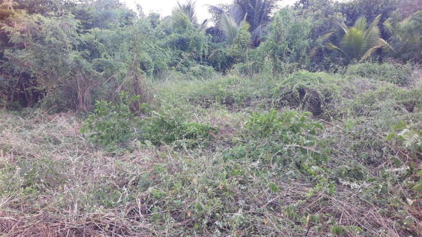 Cho thuê đât nên dai han 450m² tai tp long khanh, 7346202