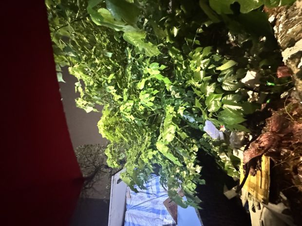 Bán đất ngõ 264 ngọc thuỵ 118m oto tránh kinh doanh thông 7347763