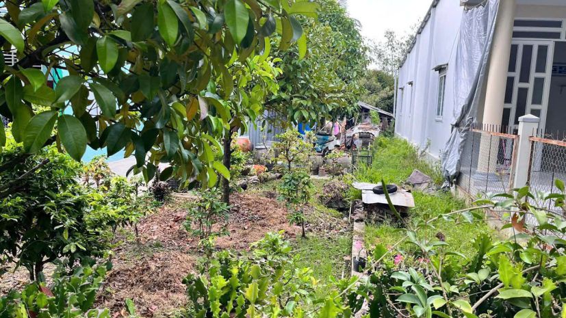 Đất đẹp- giá tốt chính chủ cần bán lô đất tiềm năng tại thị 7348088