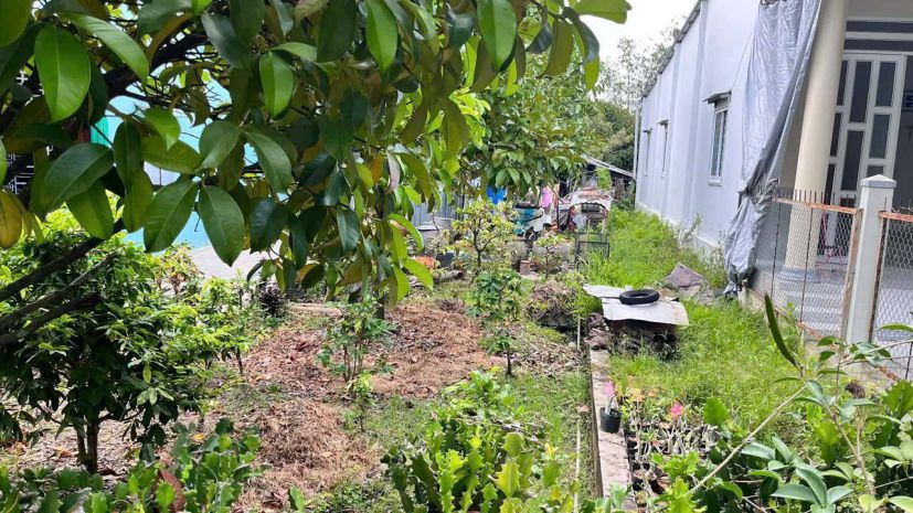 Đất đẹp- giá tốt chính chủ cần bán lô đất tiềm năng tại thị 7348090