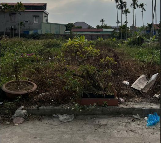 Bán đất phân lô phục lễ  thuỷ nguyên, hải phòng 7348364