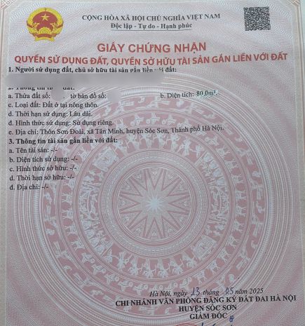 80m² sơn đoài  sóc sơn  ô tô đỗ cửa  giá rẻ giật mình 7349937