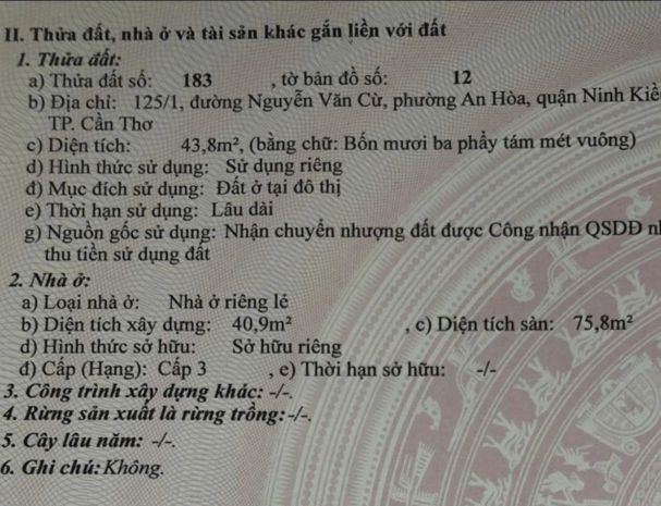 Nhà bán trệt lầu - trung tâm nội ô ninh kiều, cần thơ - giá 7349981