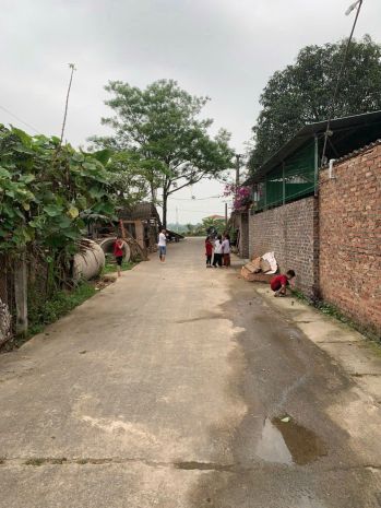 Siêu hiếm bán 50m² tại tân an- hiền ninh- sóc sơn- hn. 7351644