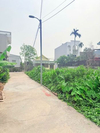 Giá 1.xx tỷ- lô đất ngõ 78 tư thủy, hòa nghĩa, mặt đường 7352733