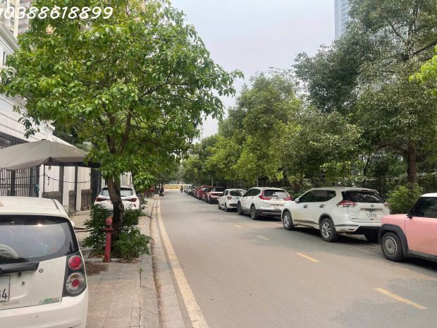 Bán bt song lập roman plaza tố hữu - 191m2 x 4t, mt 11m- 7353183