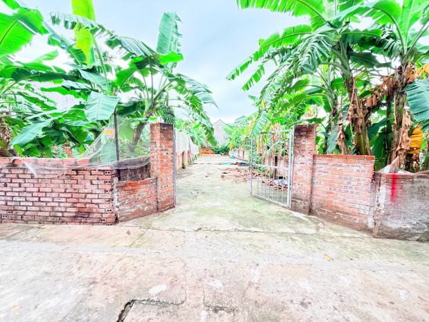 4x sở hữu lô đất đáng tiền từng mét  cực hiếm trên thị 7354871