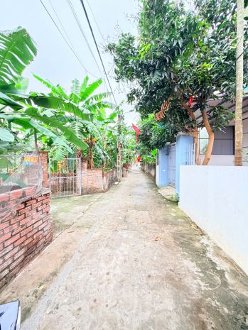 4x sở hữu lô đất đáng tiền từng mét  cực hiếm trên thị 7354872