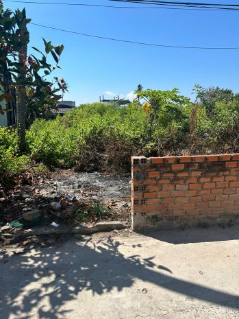 Bán 988m2 đất biển tam tân, tân tiến, lagi giá rẻ nhất cách 7355066