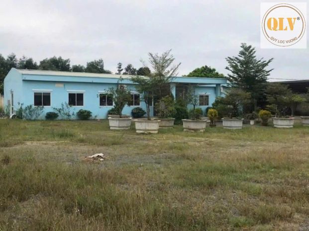 Cho thuê đất skc xây dựng xưởng phước tân biên hòa 45.709m² 7355245