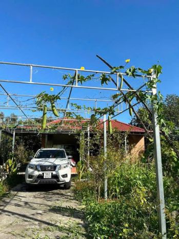 Bán gấp vườn trái cây ven kênh  1.100m²  chỉ 4,8trm² 7355291