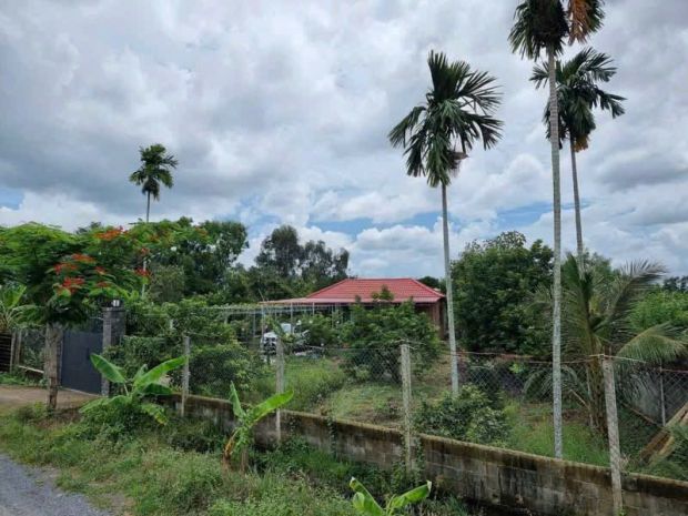 Bán gấp vườn trái cây ven kênh  1.100m²  chỉ 4,8trm² 7355293